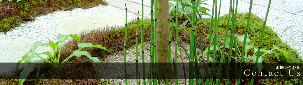 Contact Us ���₢���킹