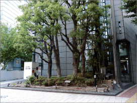 大阪市某御堂筋ビル 緑地帯改修工事