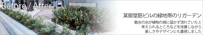 某御堂筋ビルの緑地帯のリガーデン 散水の水が植物に根に届かず流れていたと考えられるところなどを改善しながら美しさやデザインにも重視しました