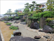 運輸業者様 庭園改修工事『松の雪吊り』