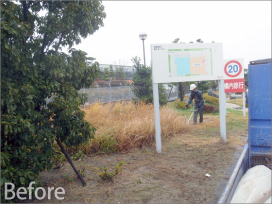 運輸業者様 庭園改修工事『松の雪吊り』