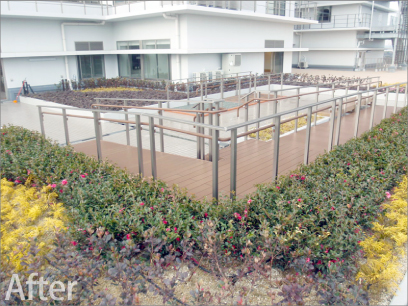 「パパット」施工が出来る屋上庭園