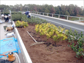 「パパット」施工が出来る屋上庭園