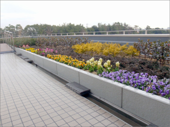 「パパット」施工が出来る屋上庭園