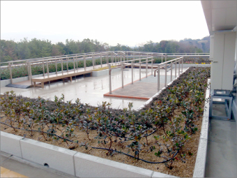 「パパット」施工が出来る屋上庭園