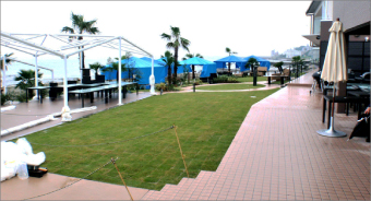 まるはドライブイン誕生リポート