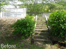 聖マリア女学院 散策路改修工事