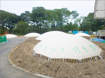 国営公園三派川地区 遊具改修工事