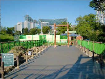 県営世界淡水魚園施設 遊具改修工事