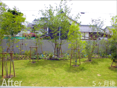 森の中にいるような雰囲気の立派なお庭