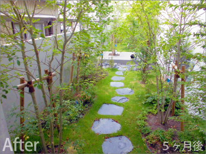 森の中にいるような雰囲気の立派なお庭