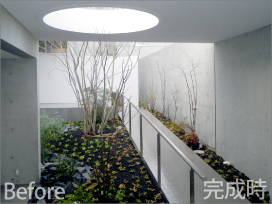 森の中にいるような雰囲気の立派なお庭