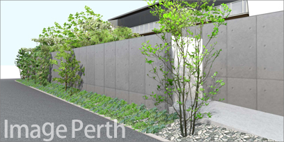 森の中にいるような雰囲気の立派なお庭