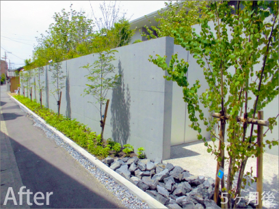 森の中にいるような雰囲気の立派なお庭