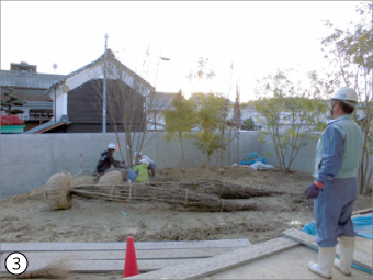 森の中にいるような雰囲気の立派なお庭