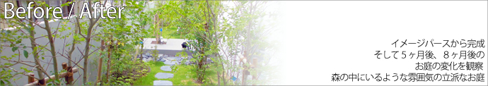 イメージパースから完成 そして5ヶ月後、8ヶ月後のお庭の変化を観察 森の中にいるような雰囲気の立派なお庭