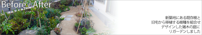 新築地にある既存樹と旧宅から移植する樹種を組合せデザインした雑木の庭にリガーデンしました
