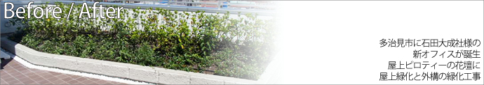 多治見市に石田大成社様の新オフィスが誕生 屋上ピロティーの花壇に屋上緑化と外構の緑化工事