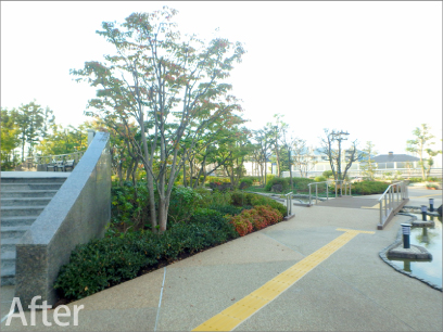 清流デッキ開通式 29年度庭園等改修工事