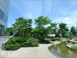 清流デッキ開通式 29年度庭園等改修工事