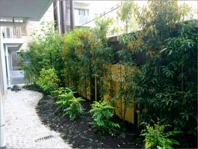 京都市下京区 介護施設の庭園改修工事