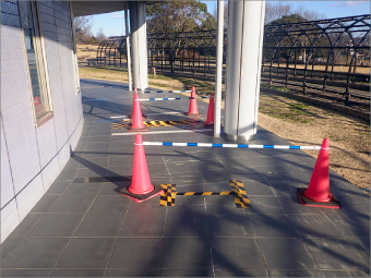 国営木曽三川公園138タワーパーク 大規模修繕工事