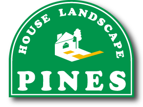 Pines パインズ House Landscap