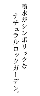 色彩のコントラストが織り成す新しい空間