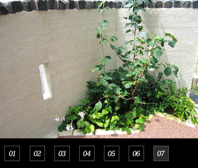 Natural Garden Y様邸07